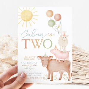 2nd Birthday Farm Animals Barnyard Party Boys Invitation