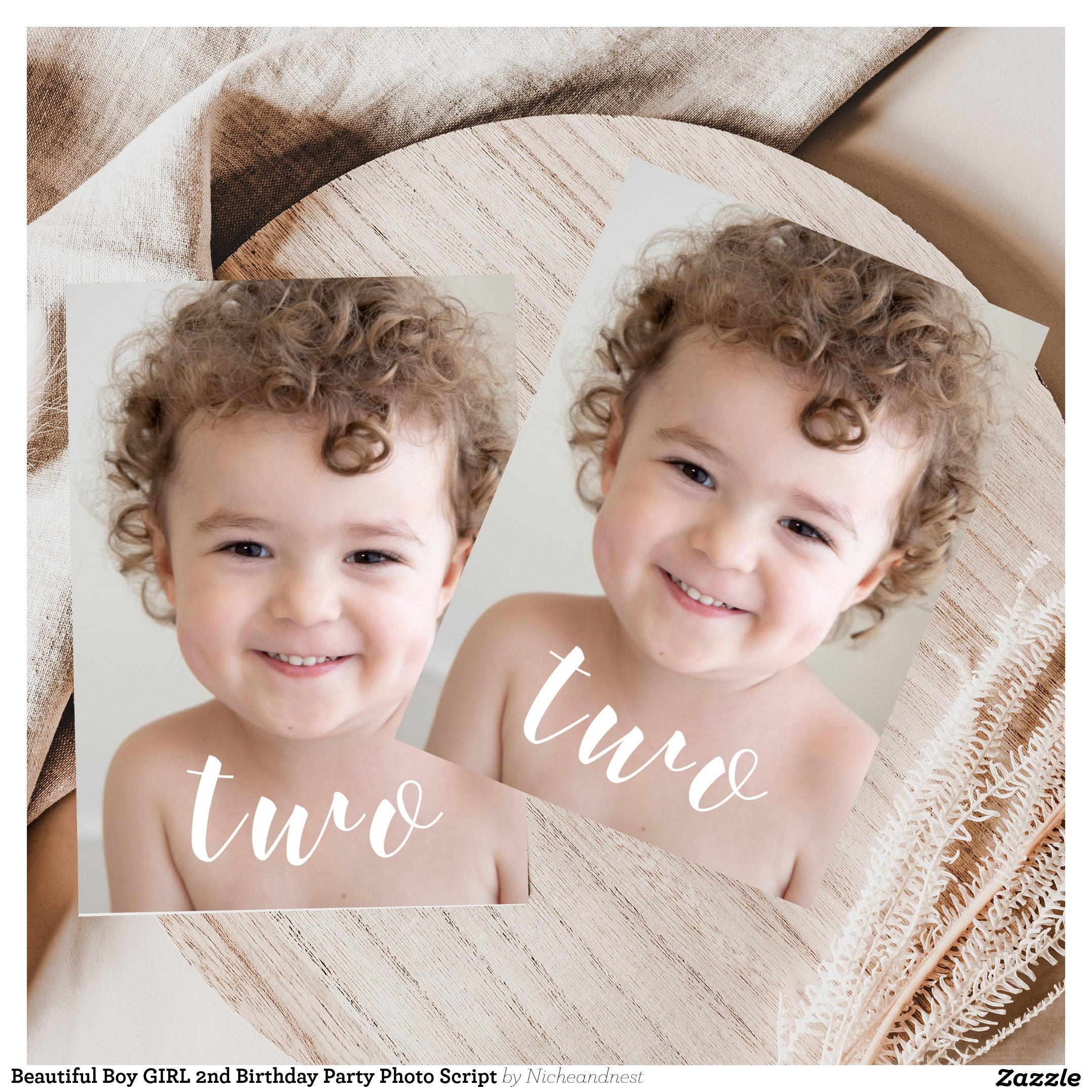 Beautiful Boy GIRL 2nd Birthday Party Photo Script Invitation