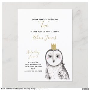 Black & White Owl Baby 2nd Birthday Party Invitation Postcard